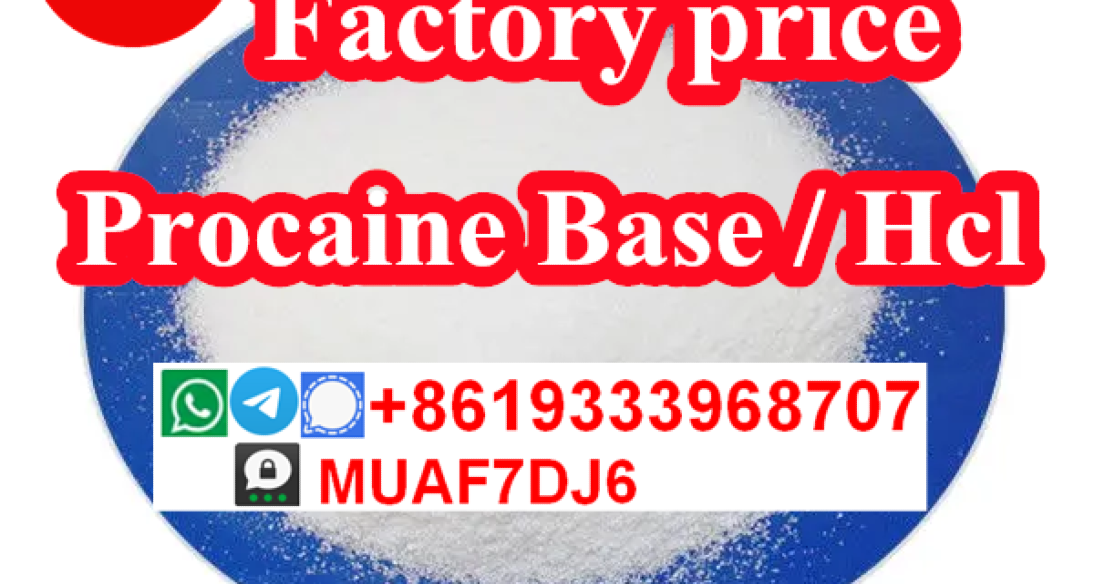 Procaine powder cas59–46–1,Procaine base,Procaine factory 