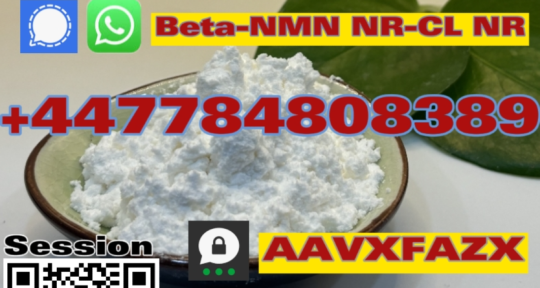 1094-61-7 beta-NMN NR-CL NR NMN pro powder supply oris +447784808389