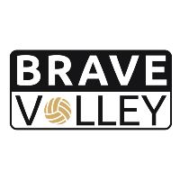 Brave Volley