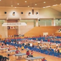 Restoration Daiko Arena