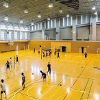 Tenri University Gymnasium
