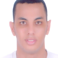Tarek El Boghdady