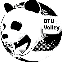 Женщины DTU Volley