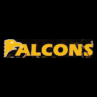 Dames Melbourne Falcons