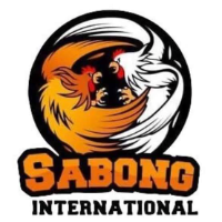 Sabong International Spikers