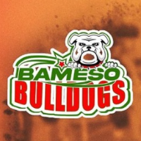 Bameso Bulldogs