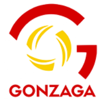 Pallavolo Gonzaga