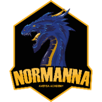 Normanna Aversa Academy