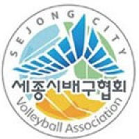 Sejong Volleyball Association