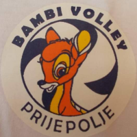 Dames Bamby Volley