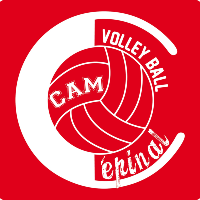 Kobiety CAM Épinal Volley
