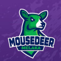 Melaka Mousedeer
