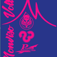 Feminino Sporting Club Pinerolo