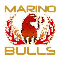Marino Pallavolo Bulls