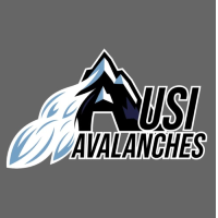 USI Avalanches Innsbruck