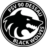 PSV 90 Dessau Volleys II