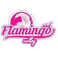 Damen Flamingo Volley