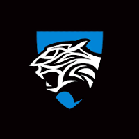 Newcastle Grey Panthers