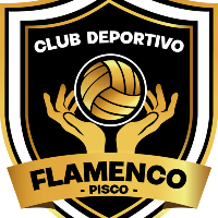 Club Deportivo Flamenco - Pisco