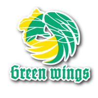 Women Gumma Bank Green Wings