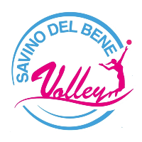 Savino Del Bene Volley B1
