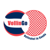 Vollingo