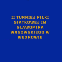 Wanita Turniej Piłki Siatkowej im. Sławomira Wąsowskiego